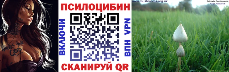 Псилоцибиновые грибы MAGIC MUSHROOMS  Черепаново 
